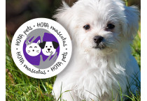 Paquetes de CBD para Mascotas Paquetes de CBD para Mascotas